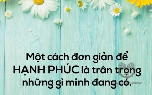 GIÀY CAO GÓT LÀ TÌNH YÊU VÀ CUỘC SỐNG